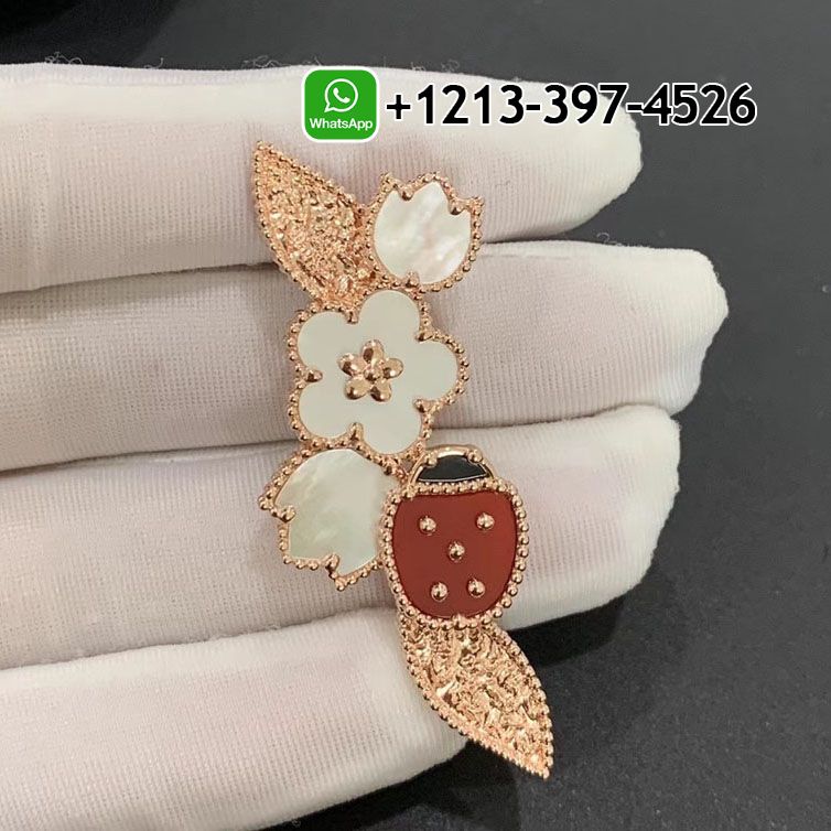 Van Cleef & Arpels Lucky Spring clip 18K Rose gold, Carnelian, Mother-of-pearl, Onyx VCARP7RS00